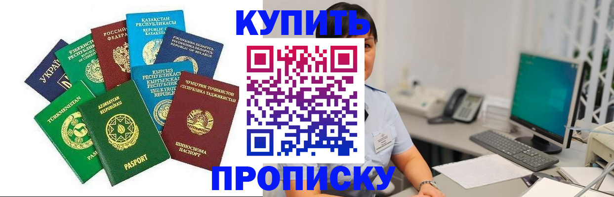 прописка в Судогде